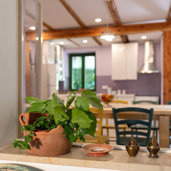 Kitchen, Houses Ladonja and Oriana, Holiday Home Ladonja and Rural Home Oriana, Manjadvorci, Istria, Croatia Barban