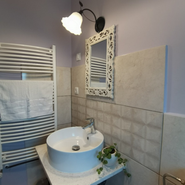 Bathroom / WC, Houses Ladonja and Oriana, Holiday Home Ladonja and Rural Home Oriana, Manjadvorci, Istria, Croatia Barban