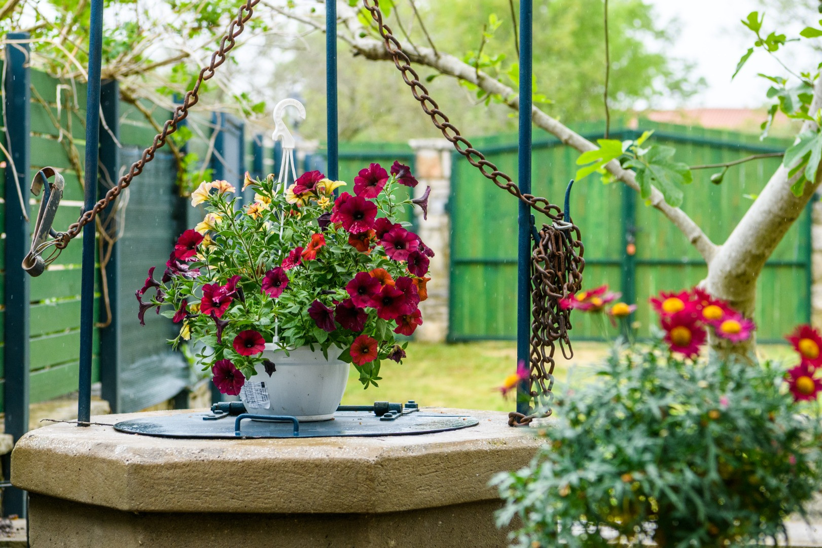 House Ladonja and Oriana - Holiday in Authentic Istrian Homes &ndash; Manjadvorci, Holiday Home Ladonja and Rural Home Oriana, Manjadvorci, Istria, Croatia Barban